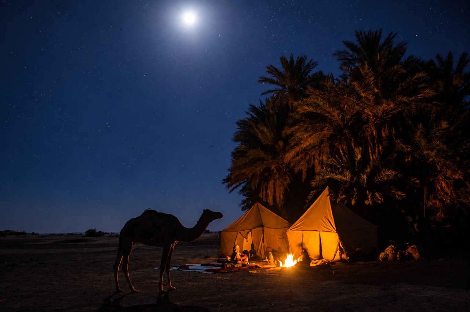 Nomadic Bivouac