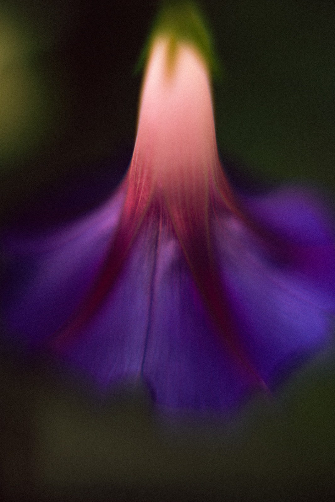 Photograph by Hugo Martial