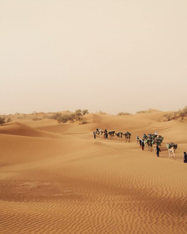 Desert.