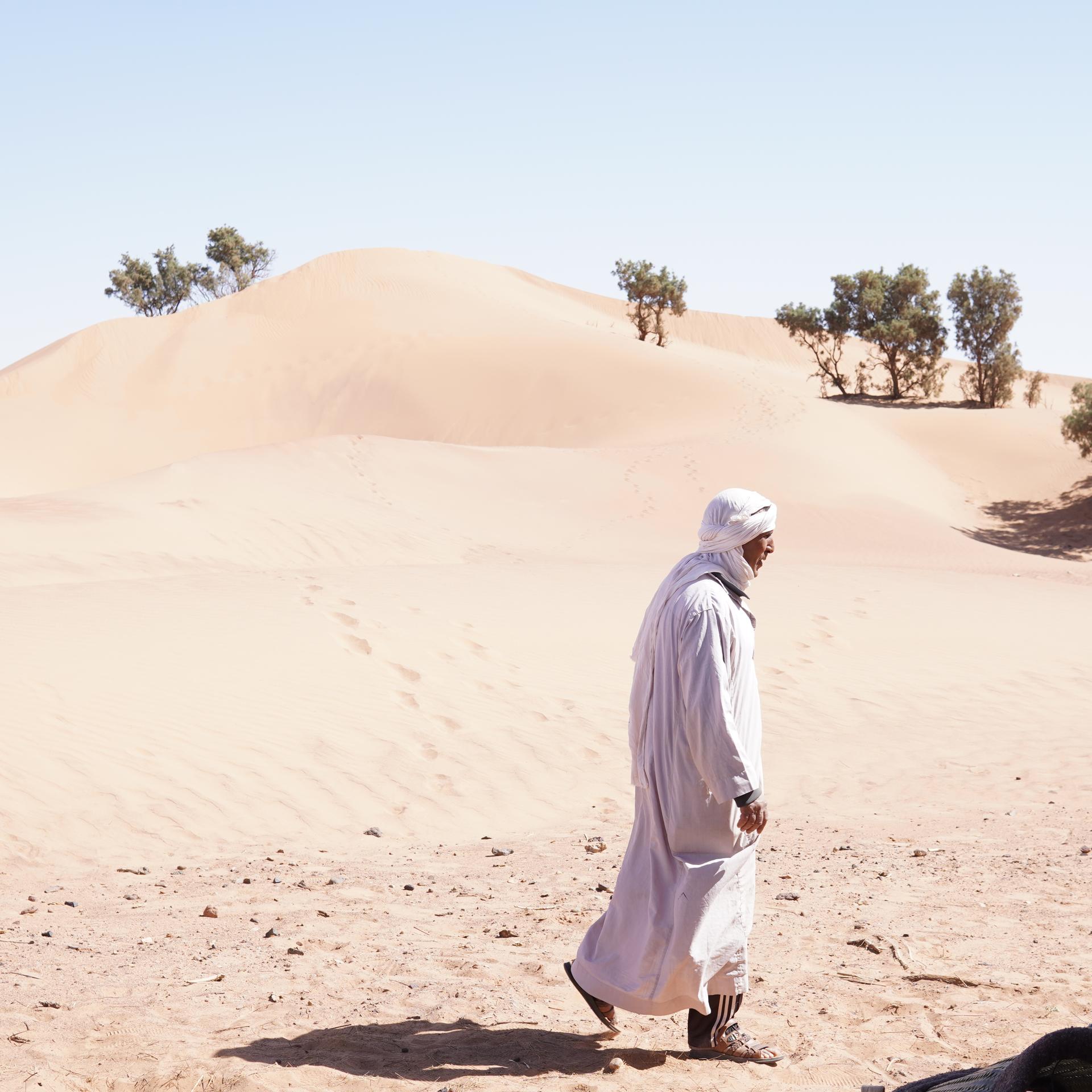 Nomadic guide